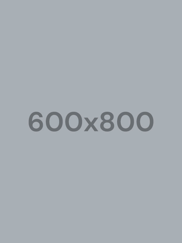 Konzultace s klientem